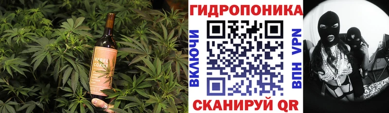 Печенье с ТГК марихуана Фрязино