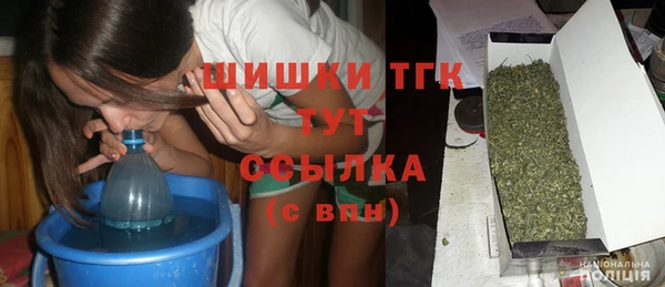 индика Сосновоборск