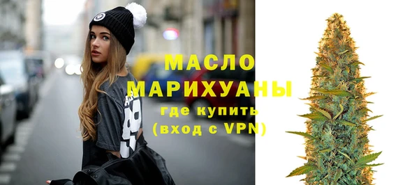 индика Сосновоборск