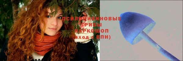 первитин Сосновка