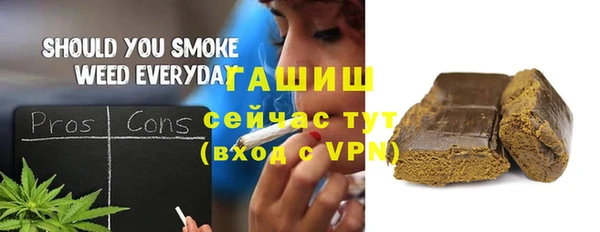 индика Сосновоборск