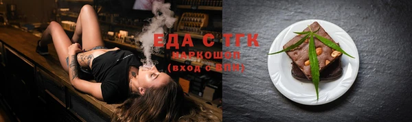индика Сосновоборск