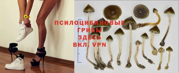 мяу мяу мука Сосновый Бор