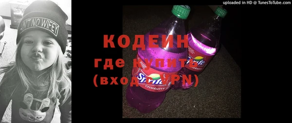 индика Сосновоборск