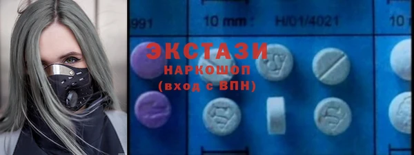 индика Сосновоборск