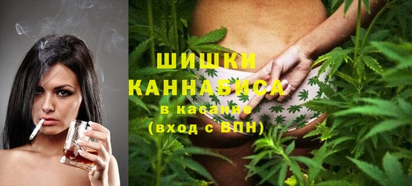 индика Сосновоборск