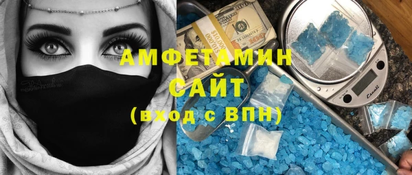 индика Сосновоборск