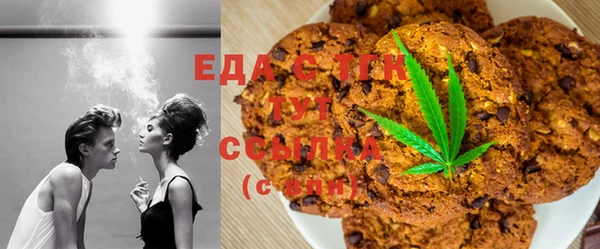 индика Сосновоборск