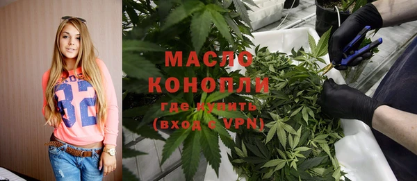 индика Сосновоборск