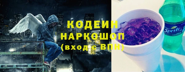 индика Сосновоборск