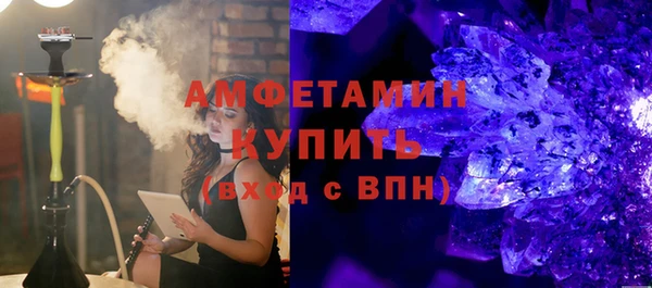 индика Сосновоборск