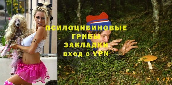 мяу мяу мука Сосновый Бор