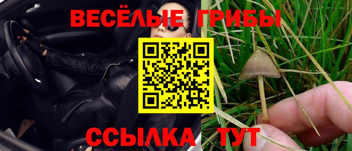 купить наркотик  Фрязино  Галлюциногенные грибы MAGIC MUSHROOMS 