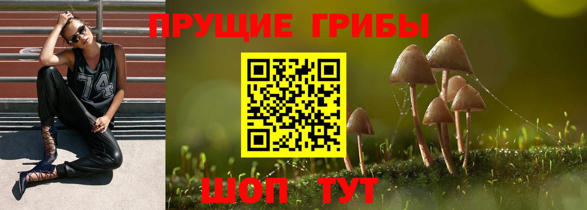 Галлюциногенные грибы GOLDEN TEACHER Фрязино